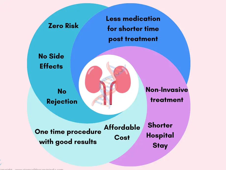 Un gráfico que muestra los beneficios potenciales de la terapia con células madre en el tratamiento renal