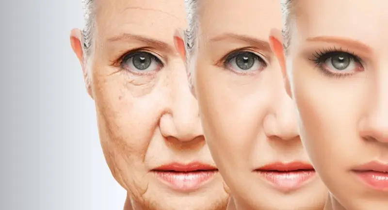 Células Madre y Antienvejecimiento: ¿Realidad o Ficción?