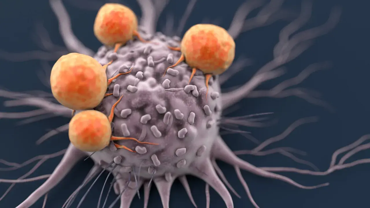 Terapia contra el cáncer