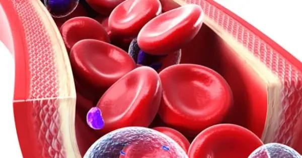 Mes del conocimiento acerca de la Sangre del Cordón Umbilical – Por que es importante este mes?