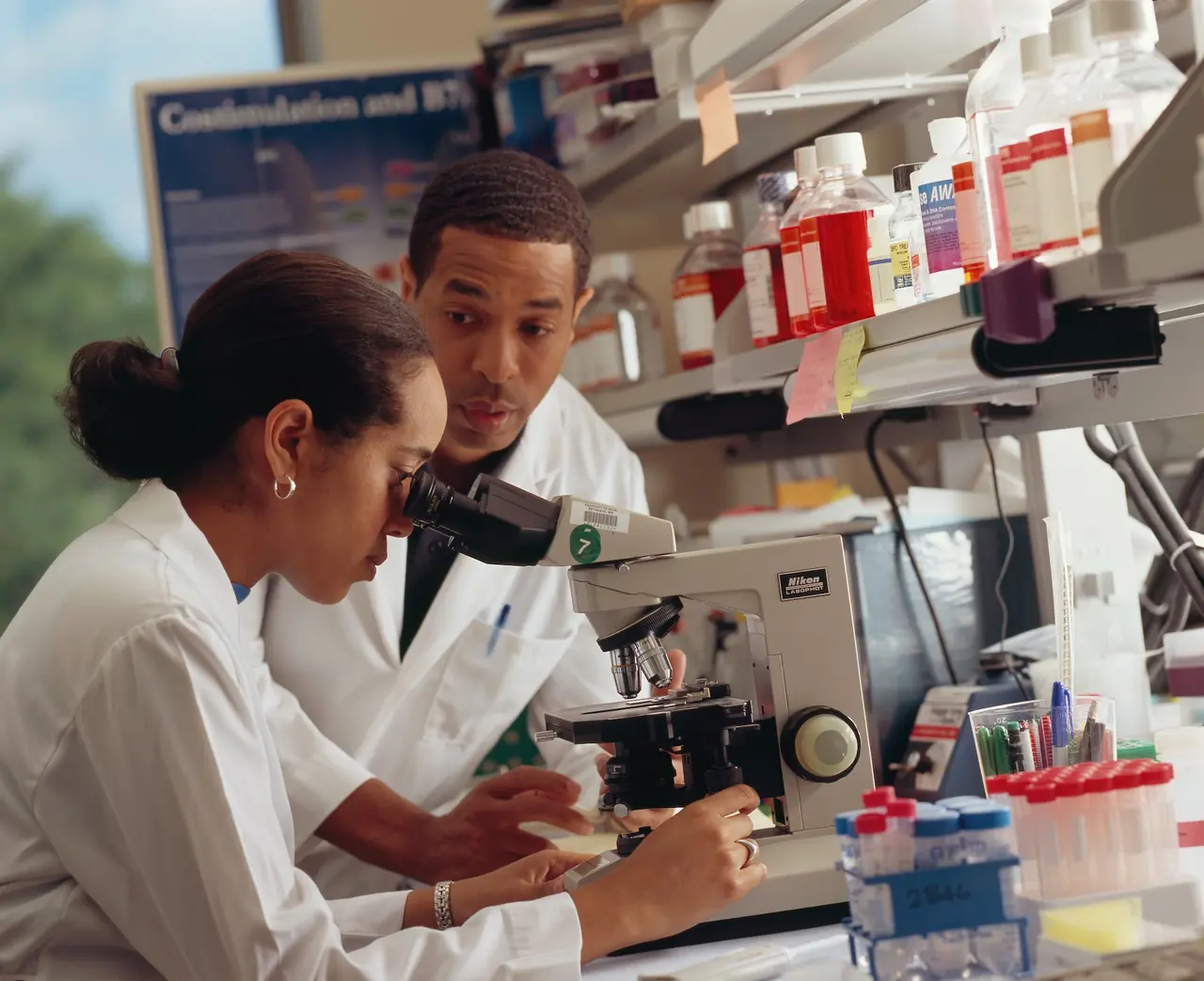 científico examinando células madre bajo un microscopio.