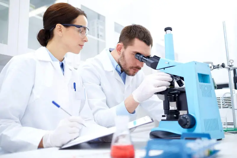 Tecnologías de células madre: el futuro de la medicina regenerativa